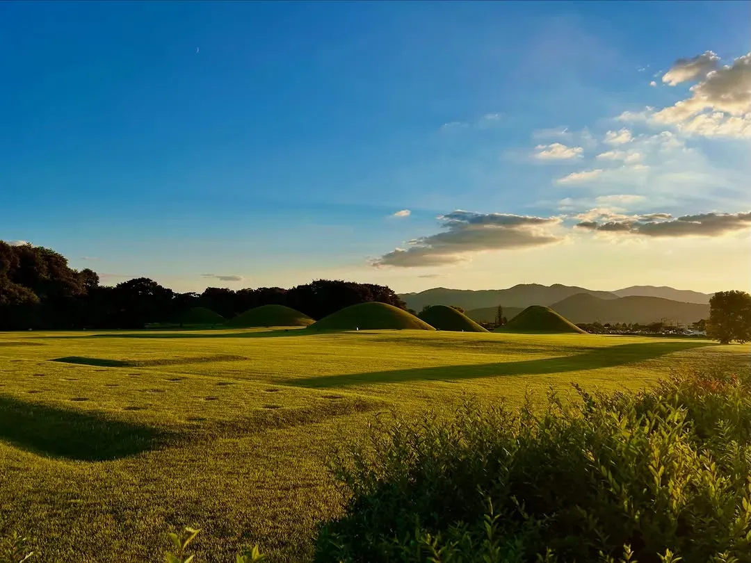 夕日に照らされた慶州の古墳群と、その奥に連なる山